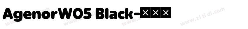 AgenorW05 Black字体转换